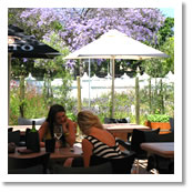 Decameron Restaurant & Beer Garden
