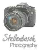 Stellenbosch Photographers & Photgraphic Services